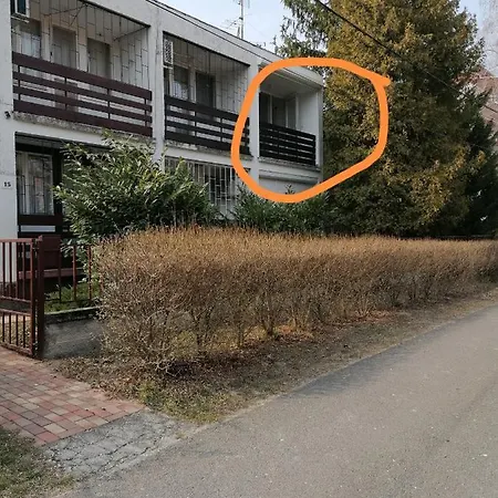 Apartment Rose *