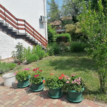 Apartment Rose *